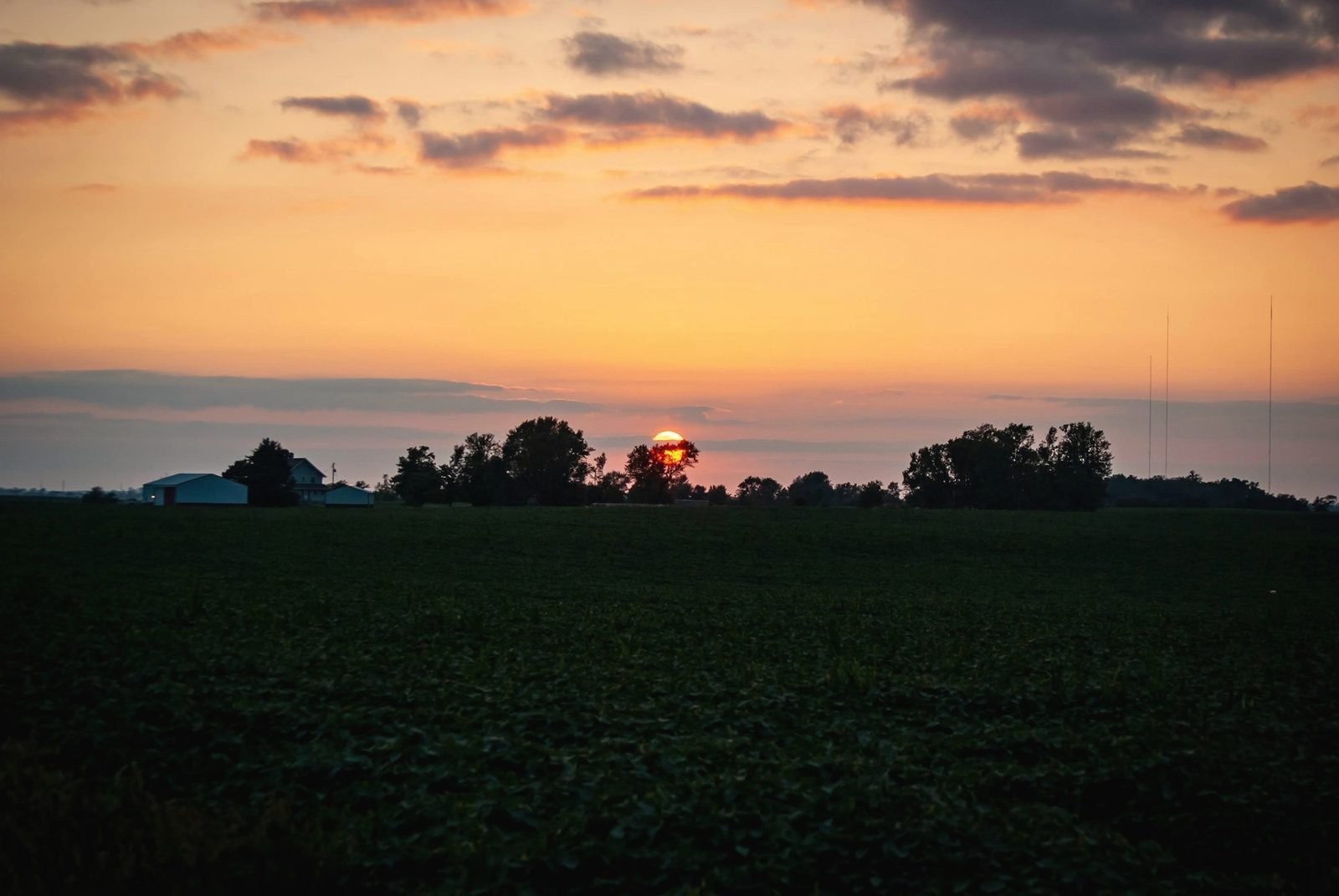 Sun setting behind a farmstead tree line across a dark field
